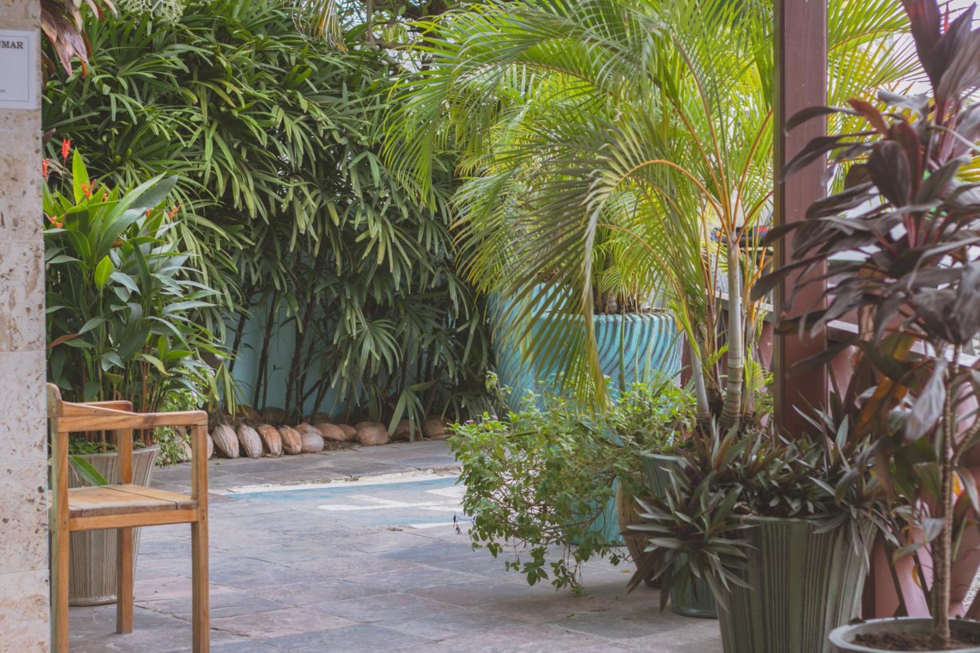 Hotel Palma Royale بوكاس تاون المظهر الخارجي الصورة